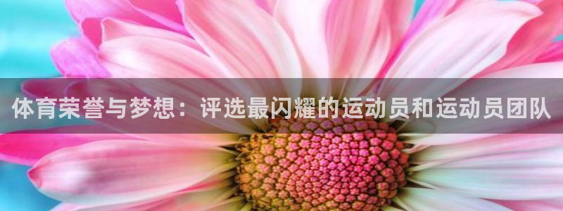一竞技官网下载招商电话是多少啊：体育荣誉与梦想：评选
