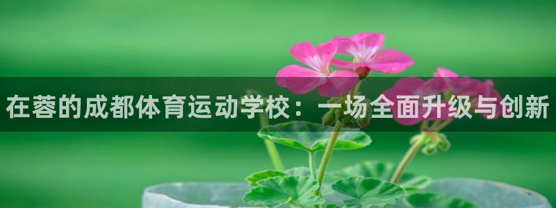 一竞技官网下载招商电话是多少号码：在蓉的成都体育运动