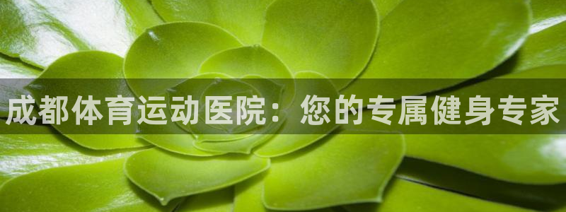 一竞技官方正版app新能源：成都体育运动医院：您的专
