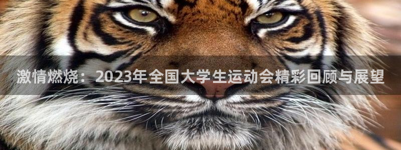 一竞技官网下载招商电话地址：激情燃烧：2023年全国