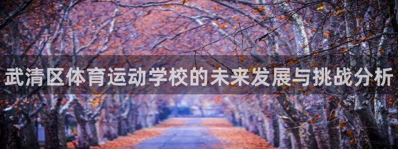 一竞技官方正版app官网：武清区体育运动学校的未来发