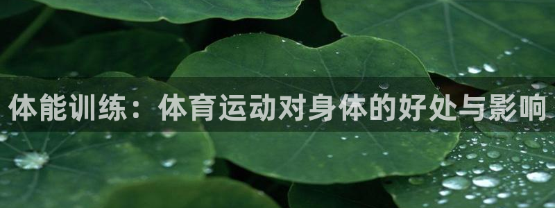 一竞技官网下载注册：体能训练：体育运动对身体的好处与