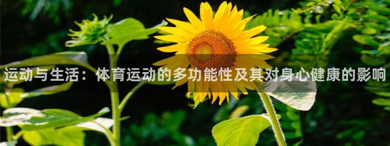 一竞技官方正版app官网：运动与生活：体育运动的多功