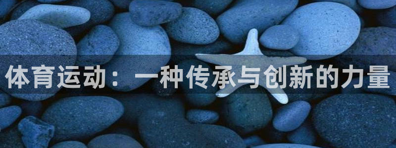 一竞技官方正版app新能源：体育运动：一种传承与创新的力量