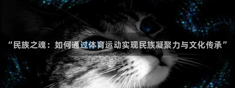 一竞技官网下载招商电话地址是多少：“民族之魂：如何通