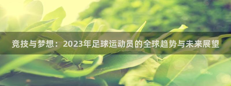 一竞技官网下载平台假的吗是真的吗吗：竞技与梦想：20