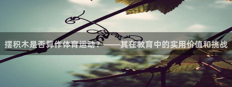 一竞技官方正版app集团logo：摆积木是否算作体育