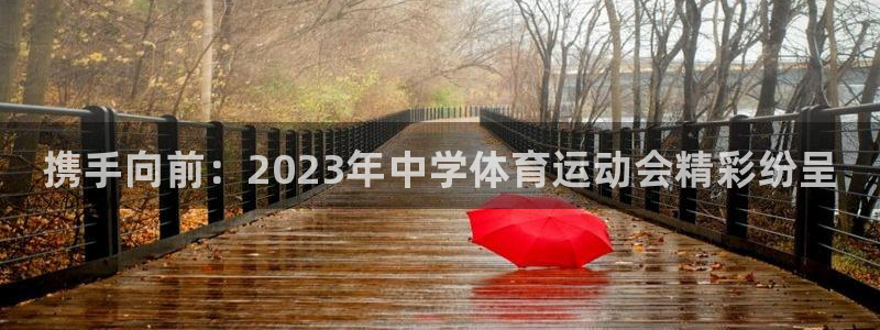 一竞技官网下载平台是正规平台吗安全吗：携手向前：20