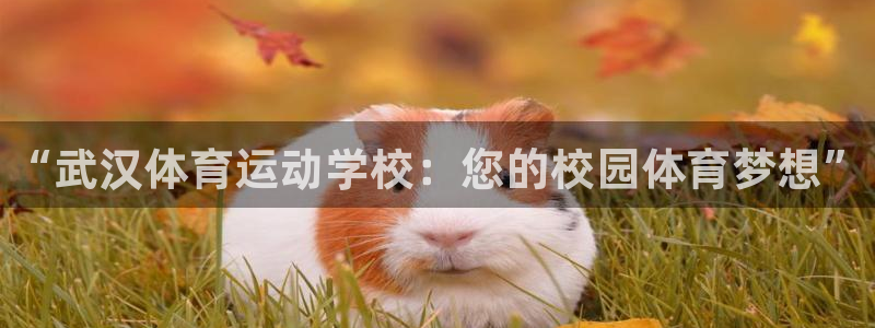 一竞技官方正版app神州：“武汉体育运动学校：您的校