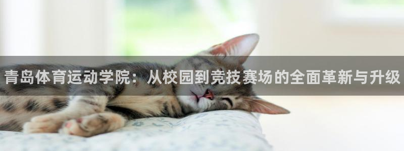 一竞技官网下载招商电话号码是多少啊：青岛体育运动学院