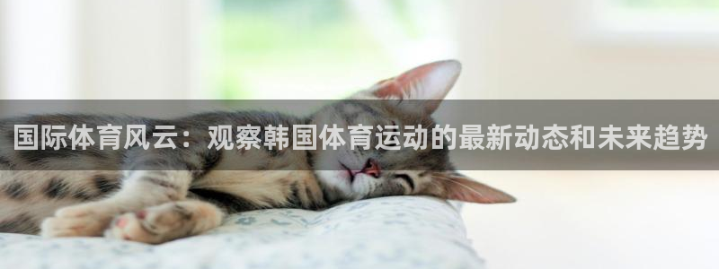 一竞技官网下载平台注册：国际体育风云：观察韩国体育运