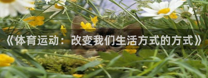 一竞技官网下载平台注册：《体育运动：改变我们生活方式