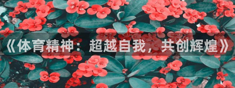 一竞技官网下载平台是正规平台吗：《体育精神：超越自我