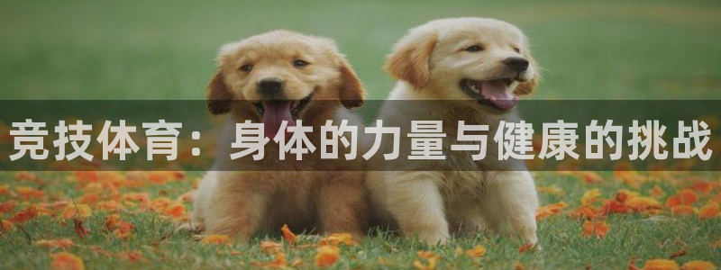一竞技官方正版app官方：竞技体育：身体的力量与健康