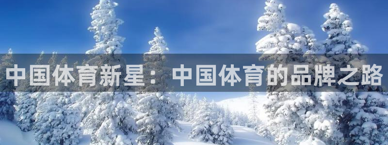 一竞技官网下载招商电话：中国体育新星：中国体育的品牌
