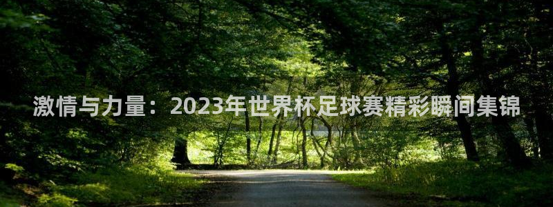 一竞技官网下载招商电话是多少：激情与力量：2023年