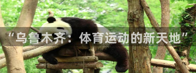 德国一竞技官方正版app集团：“乌鲁木齐：体育运动的新天地”