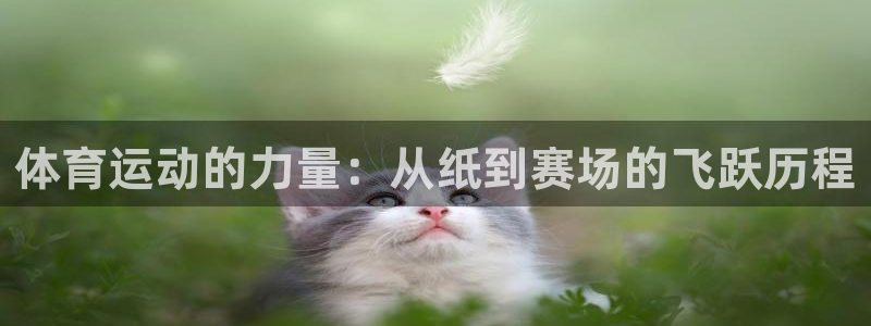 一竞技官网下载平台注册流程图：体育运动的力量：从纸到赛场的飞