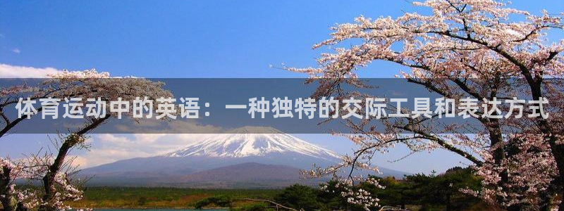 一竞技官方正版app开户