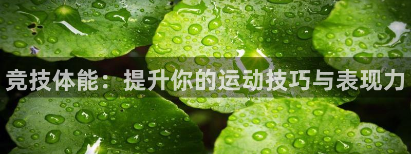 德国一竞技官方正版app集团：竞技体能：提升你的运动