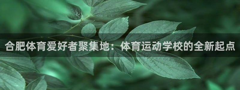 一竞技官网下载开户：合肥体育爱好者聚集地：体育运动学校的全新